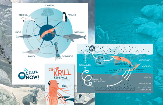 Collage aus Infografik, Broschürentitel und Fotos der Antarktis im Hintergrund